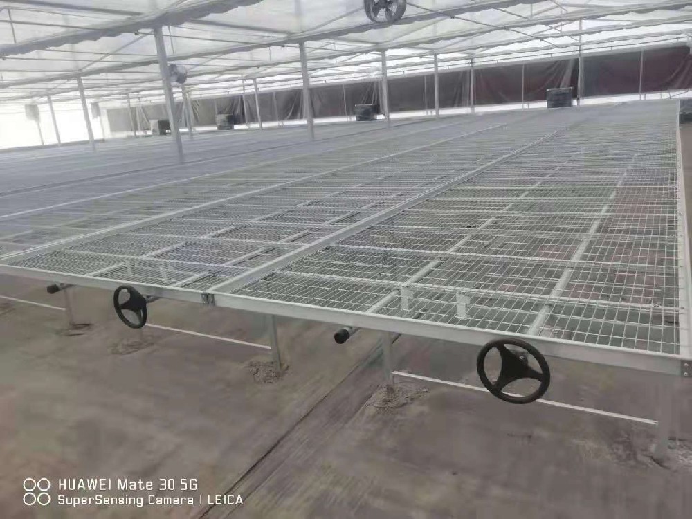 饒陽縣溫室育苗床_ 熱鍍鋅網(wǎng)片價(jià)格_移動苗床配件